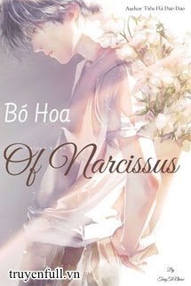 Bó Hoa Của Narcissus