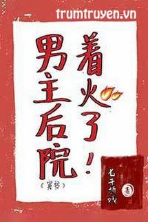 Hậu Viện Của Nam Chủ 