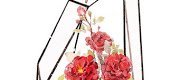 Đoản Ngọt - Tình Văn