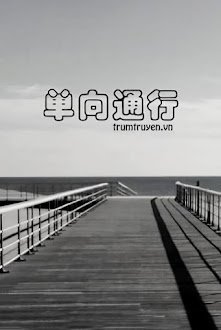 Đơn Hướng Thông Hành