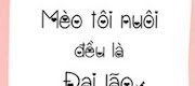 Mèo Tôi Nuôi Đều Là Đại Lão