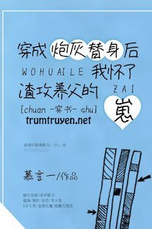 Sau Khi Xuyên Thành Pháo Hôi Thế Thân Ta Mang Thai Nhãi Con