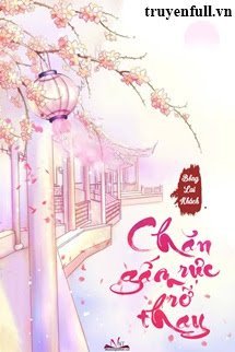 Chăn Gấm Rực Rỡ Thay