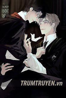[HP][VolDra] Hoa Trong Đêm Tối