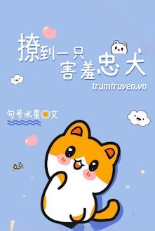 Bắt Được Một Anh Trung Khuyển Thẹn Thùng