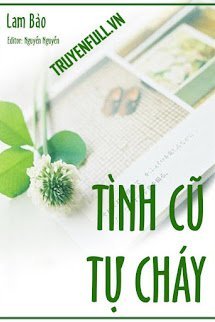 Tình Cũ Tự Cháy