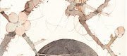 Yêu Anh Có Bao Giờ Hạnh Phúc
